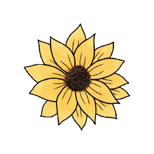 Flores Amarillas ✨🌻 8