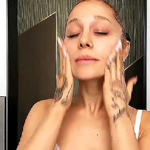 Ariana grande stickers 17