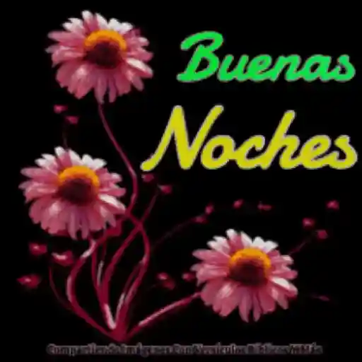 BUENAS NOCHES2 17