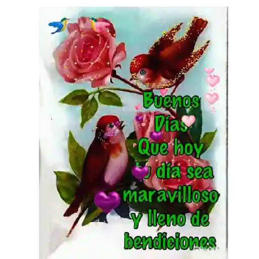 Arbolito 19