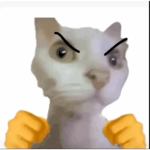 GATOS RANDOM - PARTE 21 20