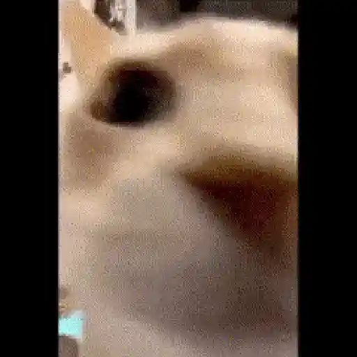 Shitpost 8