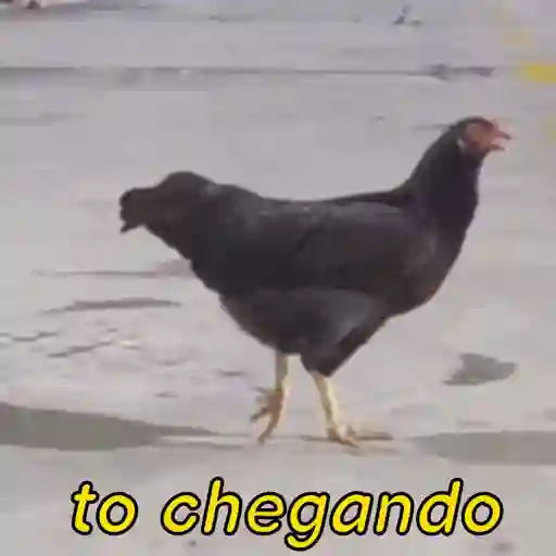 Aaansnx 2