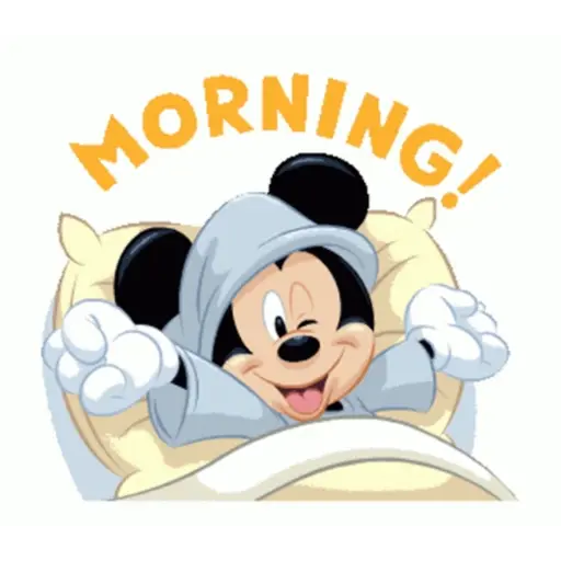 Minnie-mickey mause 17