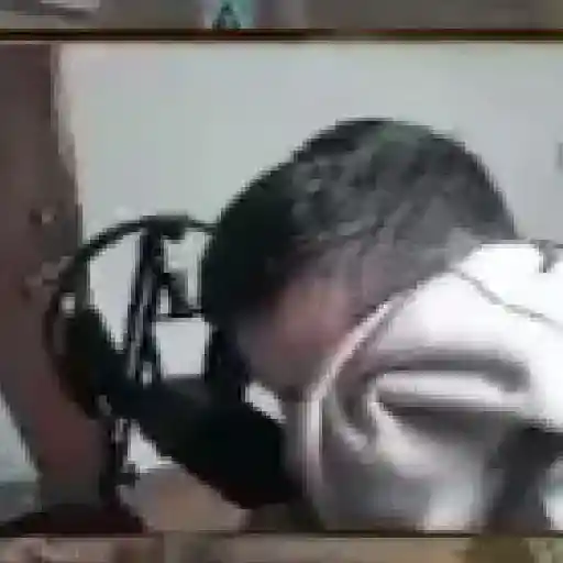 Guerreiruuu 11