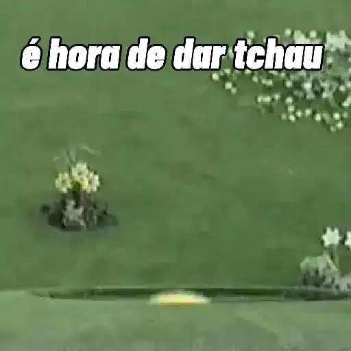 Sla não sei 10