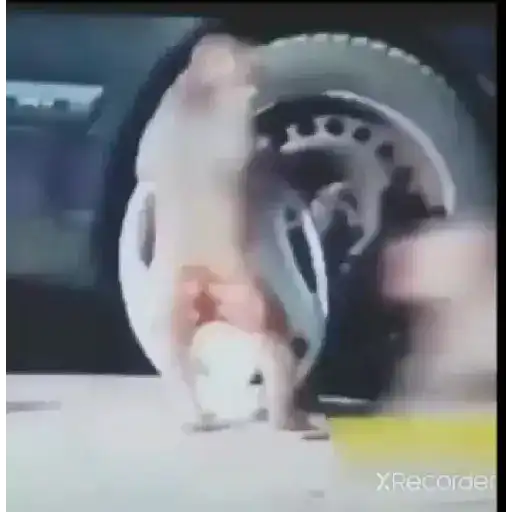 Okhssn 5