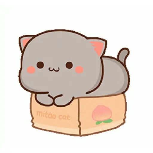 Kucing Hitamm 12