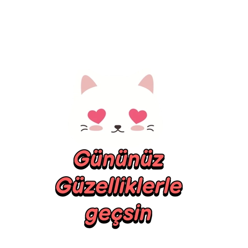 Allah'a emanet  19