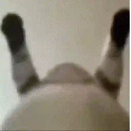 Shitpost 3