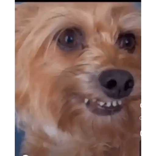 Kkkk 12