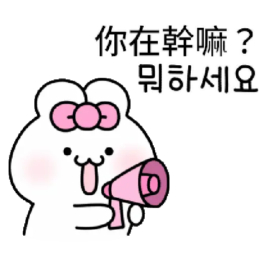 可愛的兔子TOTO 16