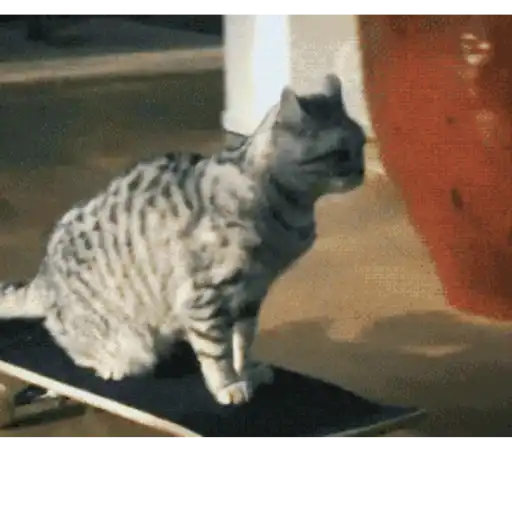 Skateboard 2023 2