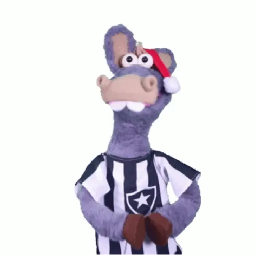 Botafogo RJ ⚫⚪ 30