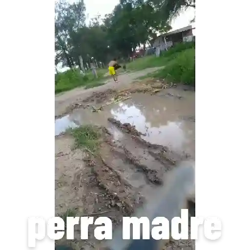 Tu puta madre 6