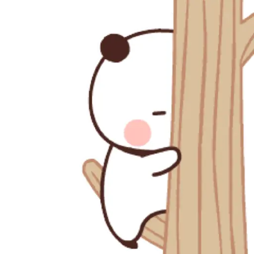 Panda x bear •11 23