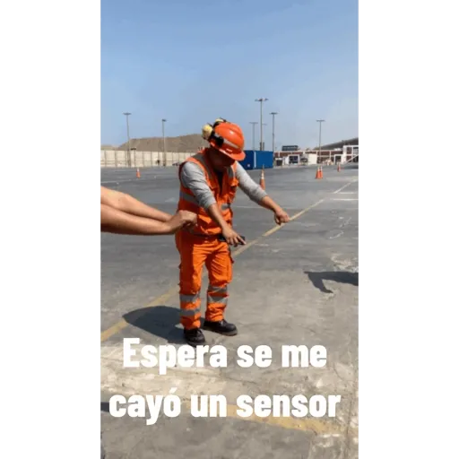 Paya payaso 10