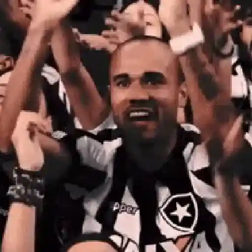 Botafogo RJ ⚫⚪ 25
