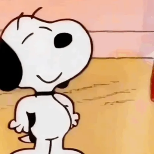 ❀ᮬ🐶⣧ ᩡᩡ Snoopy!©️Pochis 14