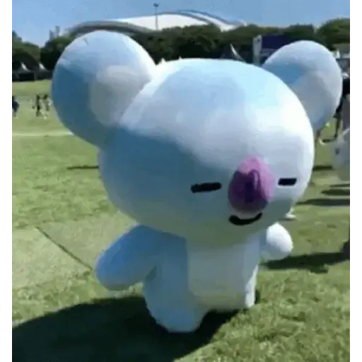 BT21 24
