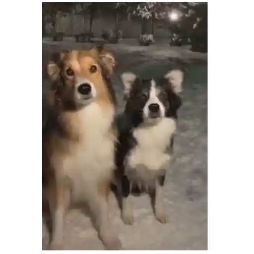 💖Perritos lindos💖 1