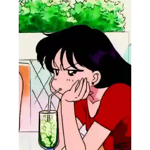 Animadas 15