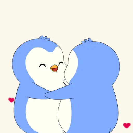 Amor 1.1  5