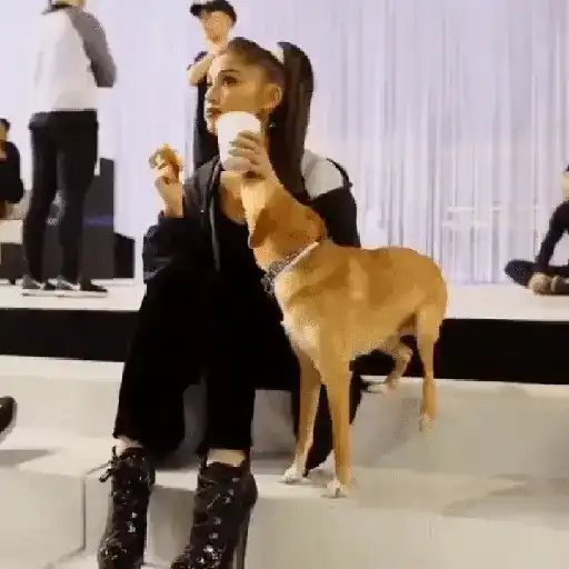 Ariana grande stickers 25