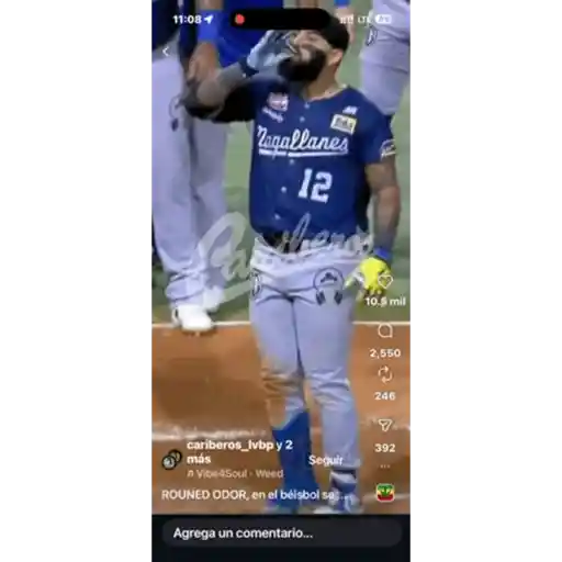 Gif 8