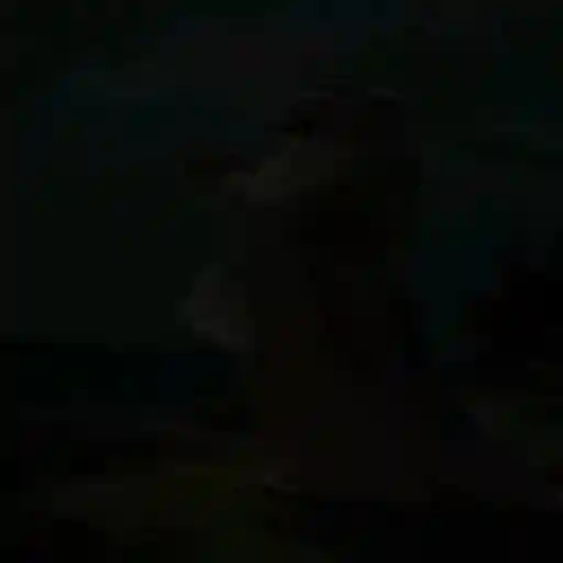 Animadas 2