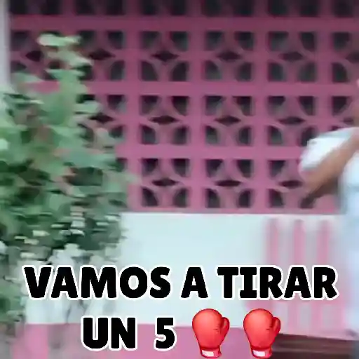 Andre 8