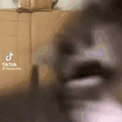 GATOS RANDOM - PARTE 21 9