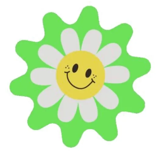 جديد  24