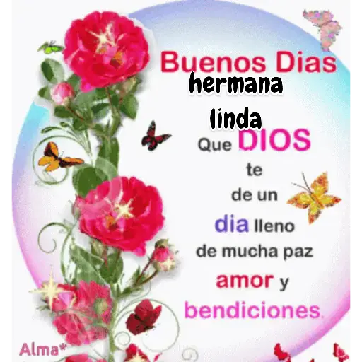 Buenas noches 25