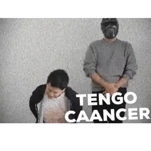 Nuevo animados 3