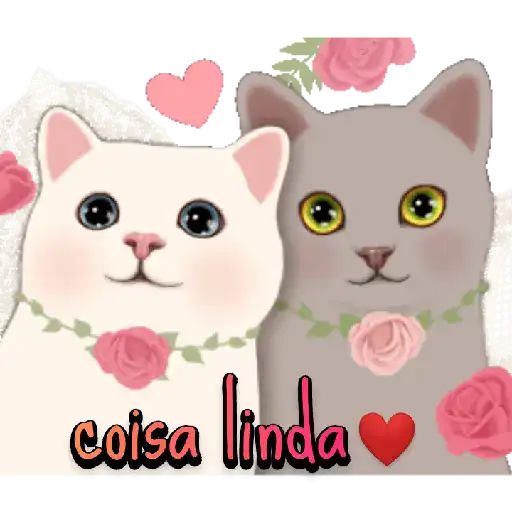 Gatinhos 4