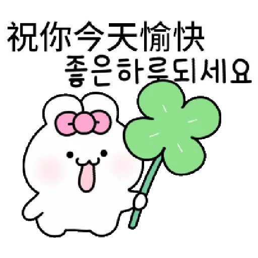 可愛的兔子TOTO 3