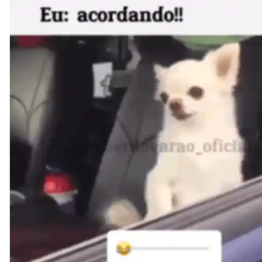 Kkkk 1