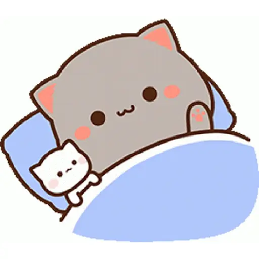 Kucing Hitamm 11