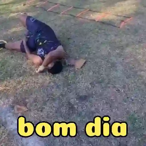 Vídeo 19