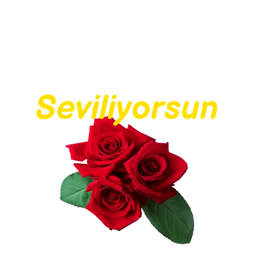 Allah'a emanet  26