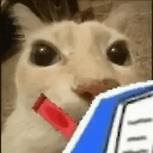 GATOS RANDOM - PARTE 21 3