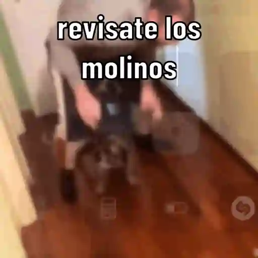 Mis mis 2 24