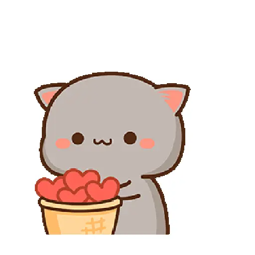 Kucing Hitamm 13