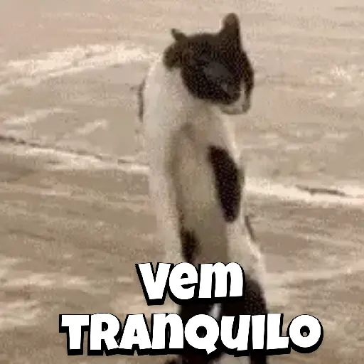Zoeiras Animais 17