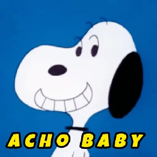 ❨･¨⬮SnOOpy 2 1