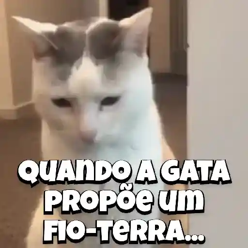 Zoeiras Animais 1