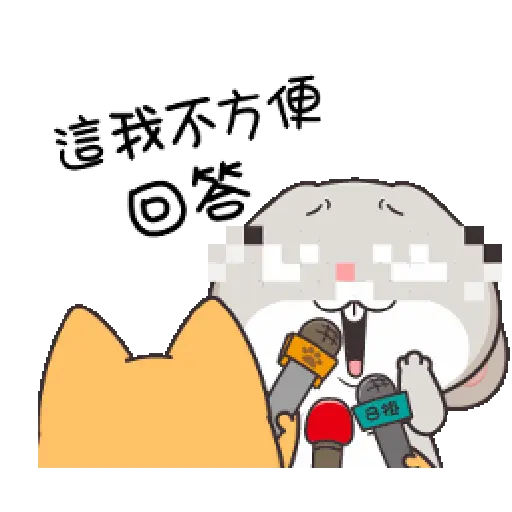 Rabbit 15
