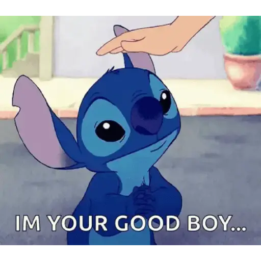 Stich 6