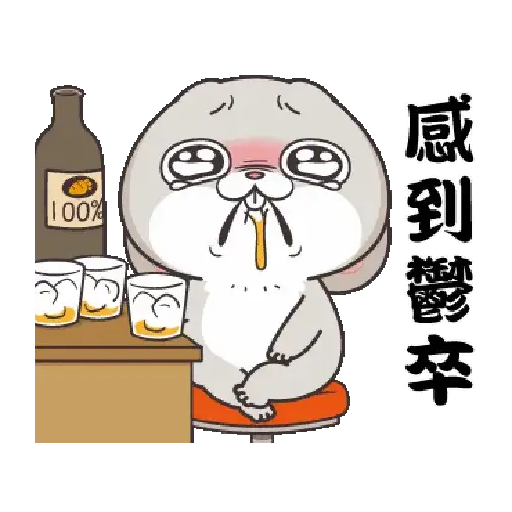 Rabbit 5
